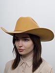 Шляпа BAILEY арт. W2303C JENKS (коньячный)